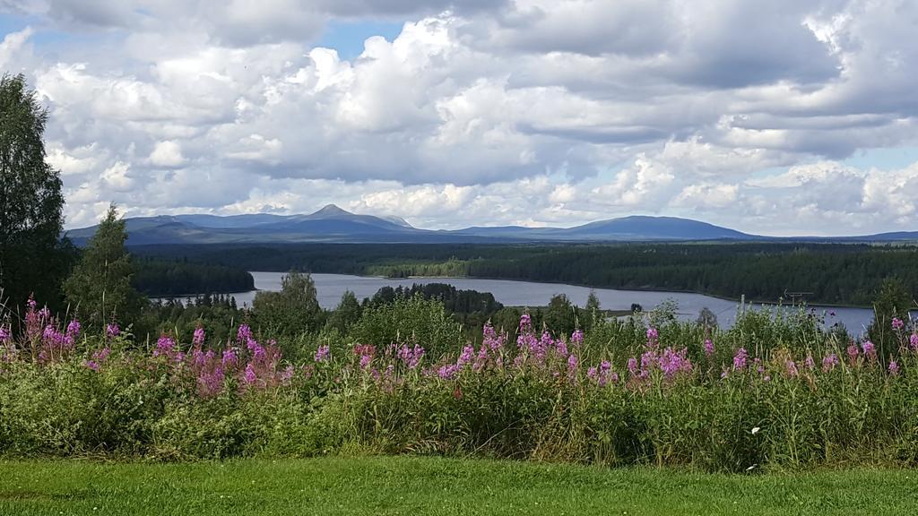 Knappgarden Серна Экстерьер фото